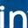 Icona LinkedIn
